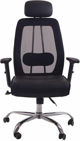 Ergonomic Office Chair with Mesh Back, Headrest & Adjustable Armrests