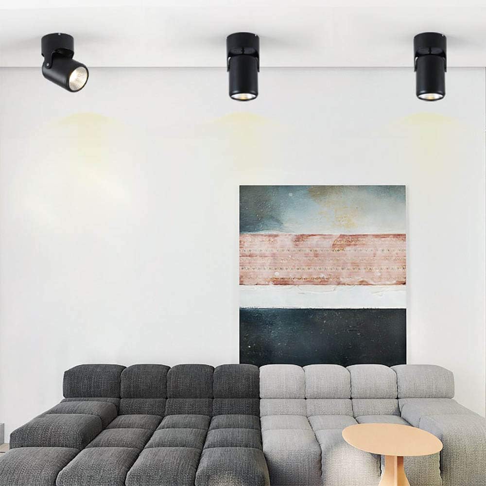 Modern Black Surface Mount Ceiling Spotlight